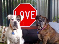 Love Sign Gem & Charlie